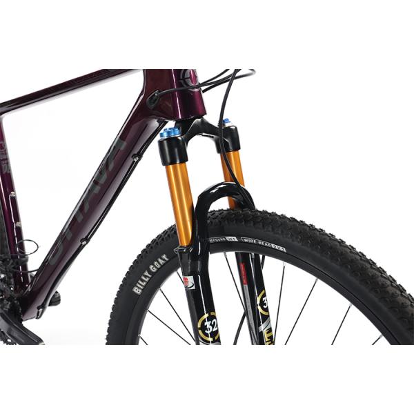 29" Carbon Fiber Mountain Bike with Shimano 22s deore parts Customizable