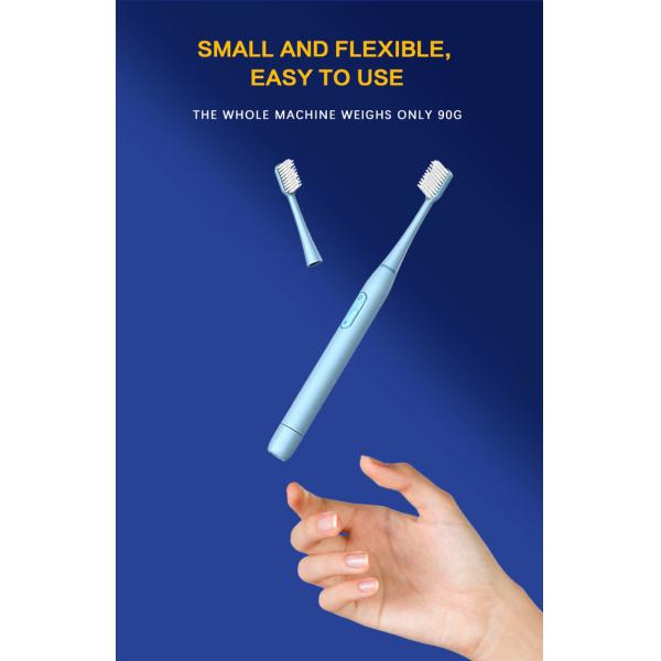 Dry Cell Sonic Battery Operated Toothbrush Dupont Bristles Waterproof For Adults