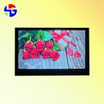 IPS Full View Angle 4.3 Inch Standard TFT LCD Display With RGB Interface 480x272