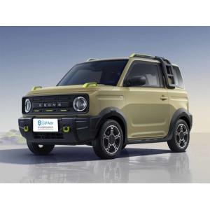 Geely Panda Small Electric Mini SUV EV Vehicle 210km Range