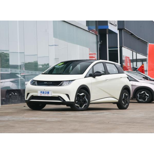 Compact Sedan Electric Car BYD Dolphin Electrico 2024 420KM Knight Edition for Adults