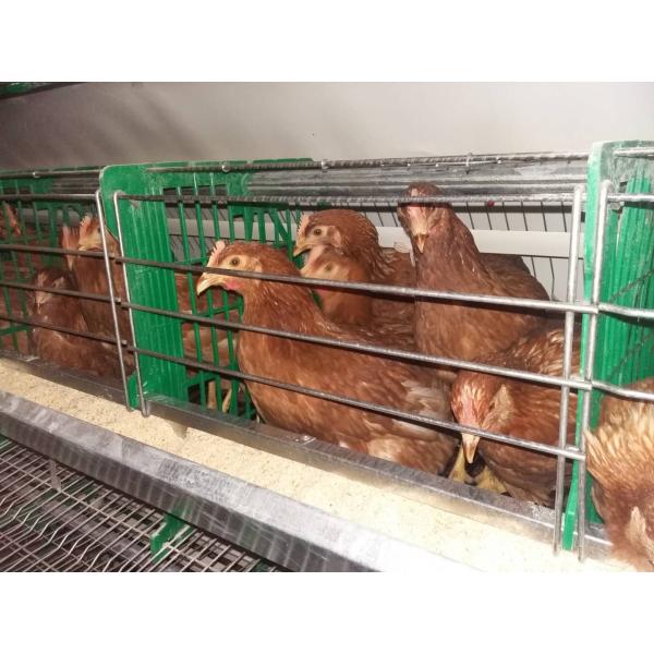 Chicken Feeder Gi Gutter Roll Forming Machine Automatic