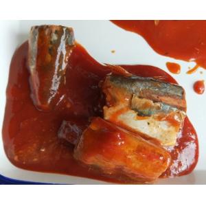 China Canned Pacific Mackerel In Tomato Sauce wholesale