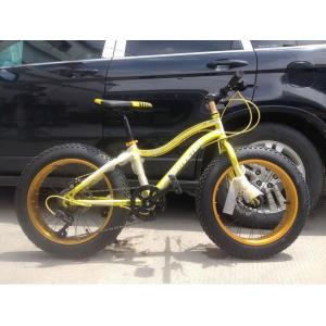 China OEM 21 Speed 20 Inch Fat Tire Electric Bike wholesale