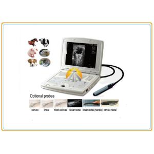 China Laptop Veterinary Ultrasound Scanner , Digital Livestock Ultrasound Equipment on sale