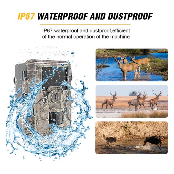 LCD Display 12MP 8M 3M Digital Wildlife Camera