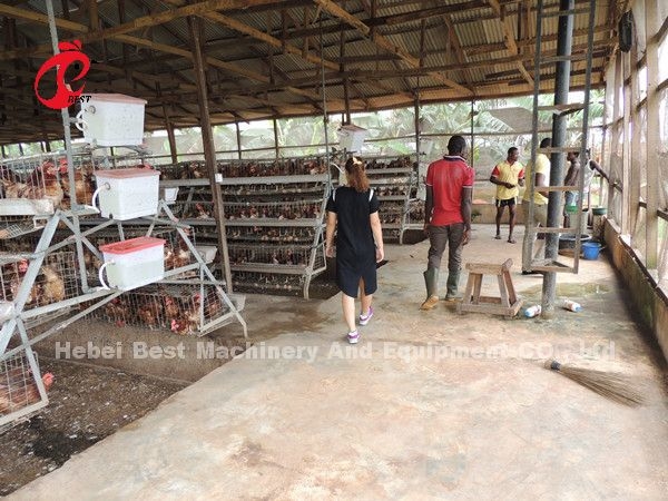 A Type 160 Capacity Layer Battery Cage System , Egg Laying Chicken Cage Sandy