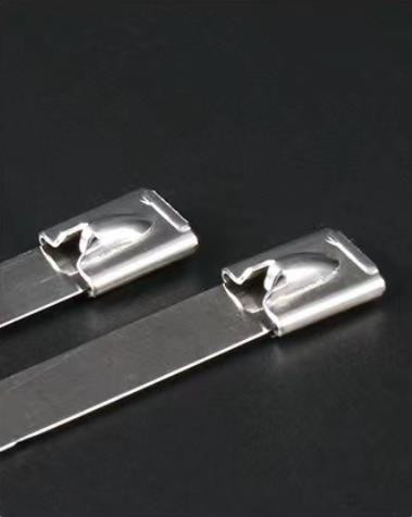 SS 304 Reusable Metal Cable Ties 4.5*550mm OEM