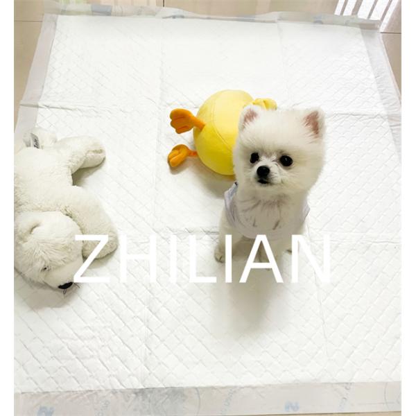 900mm Pet Pad Machine 300 m/min Dog Pad Machine