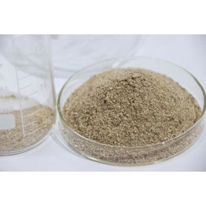 China High Concentration Water Treatment Bio Bacteria Form Powder wholesale