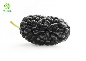 Anthocyanin Fruit Mulberry Herbal Extract Powder For Food Additives