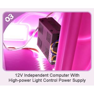 Immersive Game World With Shark Themed Electronic Coin Op Arcade Kids Game