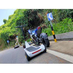 China Handle Control 250W 3 Wheel Battery Operated Scooter on sale