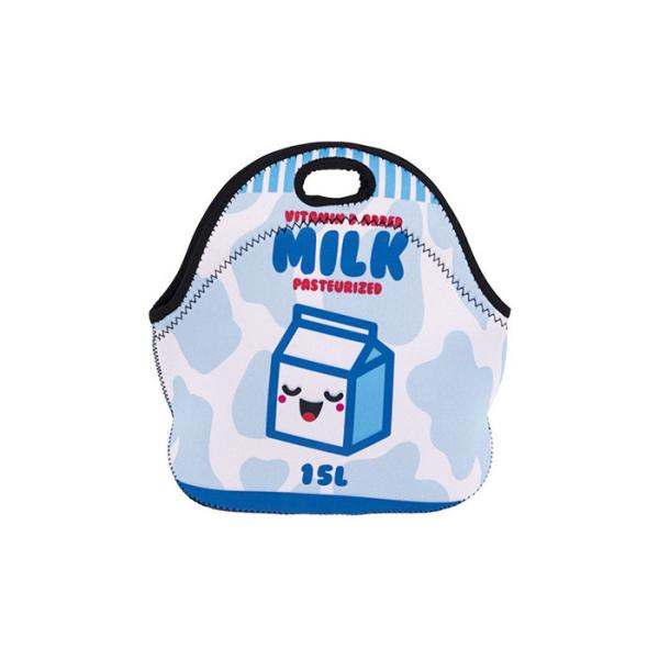 Large insulated cooler tote bags , cute lunch bags for adults