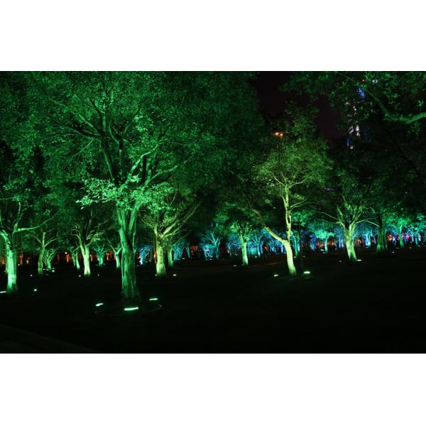 Architectural lighting IP67 outdoor DMX/RDM RGBW 36W customized for garden led tree flood light