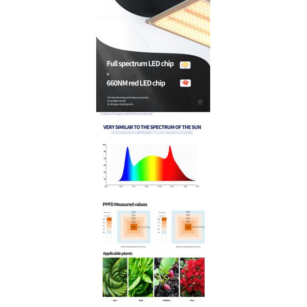 200w LED T5 Grow Lights Greenhouse Lighting System