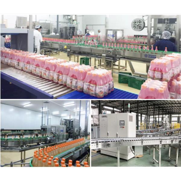 Fruit Juicer Production Line PLC Controlled Flavor Drink Bottling Machinery