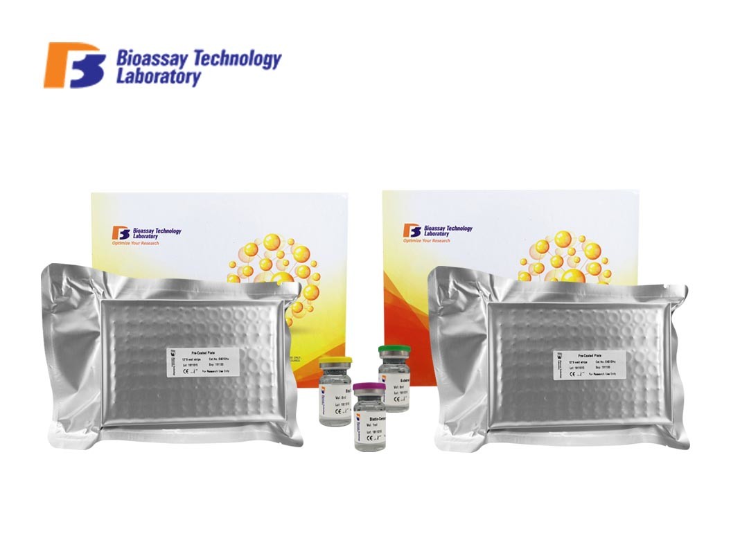 China 96 Wells 48 Wells Strong Sensitivity and SpecificityMouse LR Ob-R Lepr ELISA Test Kit Customized wholesale
