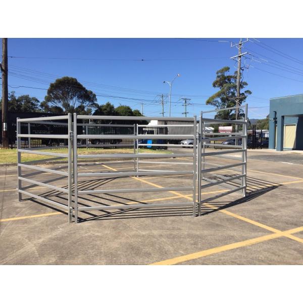 Durable High Strength Portable 40x80mm Oval Rail Cattle Yard Gates 2.1m Width