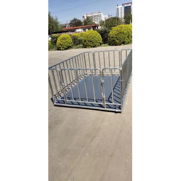 Direct Supply 2 * 1.2-meter 500kg Carbon Steel Platform Weighing Scale with Digital Indicator and AC/DC Power Supply