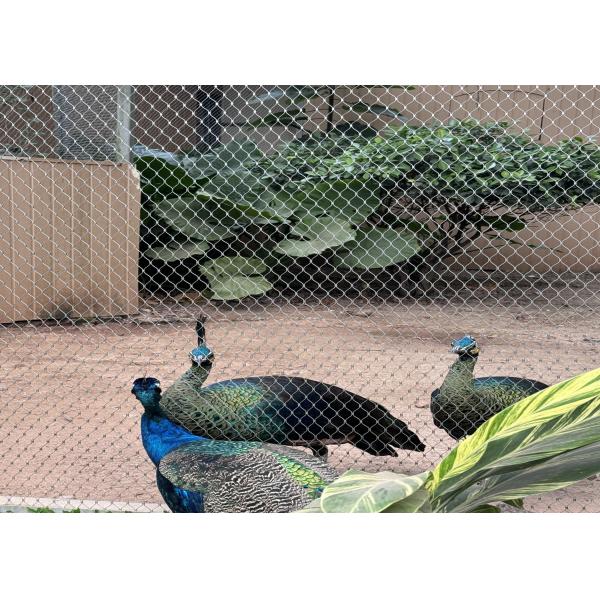 304 Stainless Steel Rope Mesh 1mm-200mm for Animal Enclosures