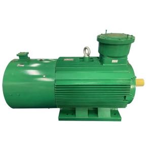 China YBBP Series Explosion-Proof Motor Three Phase Asynchronous Motor wholesale
