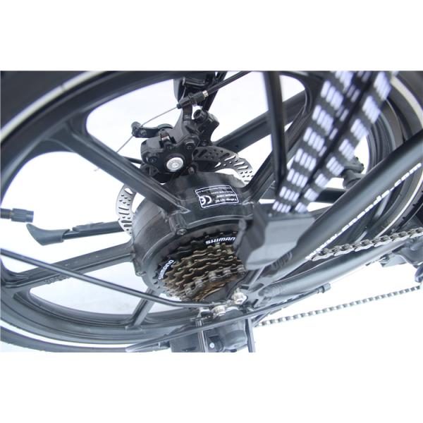 Dolphin Shape 36v 10ah Electric Hybrid Bike Fast Charging