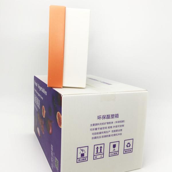 Anti Rodent Corrugated Plastic Storage Boxes 2.0mm Reusable Promotion Display Box On Shelf