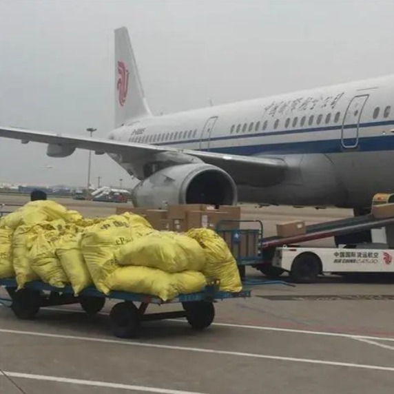 Quality Flight Ships From Shanghai To Australia Door To Door FCL Shipping Agency Ups Ddp Service for sale