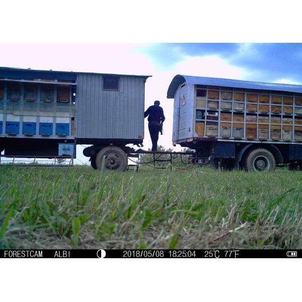 Easy Setup Time Lapse Trail Camera 0.6s Trigger Speed With Blackout IR LED