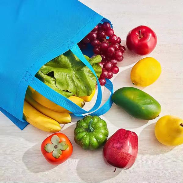 Custom Printed Washable Non Woven Recycle Bag With Double Handles 80gsm-120gsm