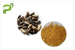 China Light Yellow Plant Extract Powder Natural Ingredient Milk Thistle Extraction wholesale