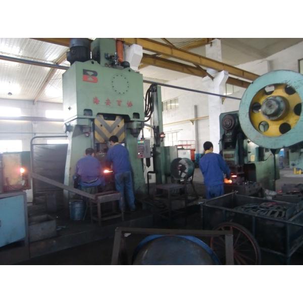 TS16949 Forged Steel Parts