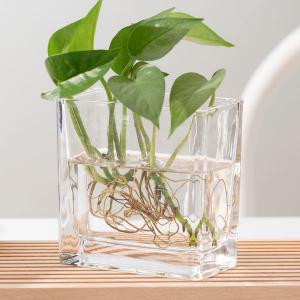 China Transparent 350ml Home Decoration Glass Pressed Small Rectangle Glass Vase wholesale
