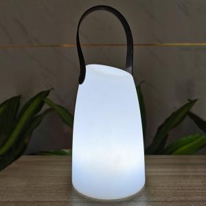 China Plastic Portable LED Lamp Wireless Remote Control For Garden wholesale