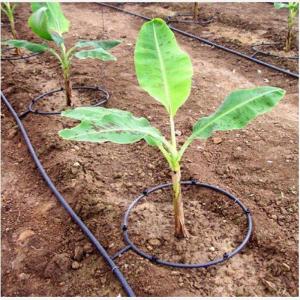China Food Grade PVC Irrigation Fertilization System Drip And Sprinkler Irrigation System on sale