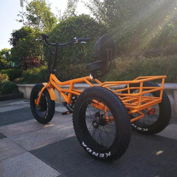 Power 351 - 500w Electric Trike Bike , Electric Tricycle For Adults Gross Weight 45KG