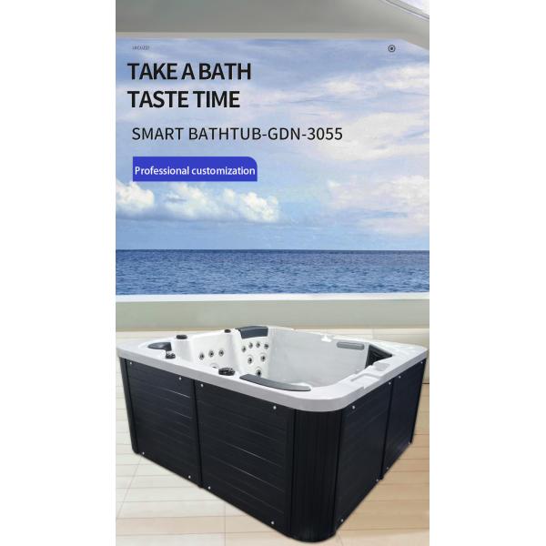 6 Persons Outdoor Hot Tub Swim Spa Massage With Dvd Player