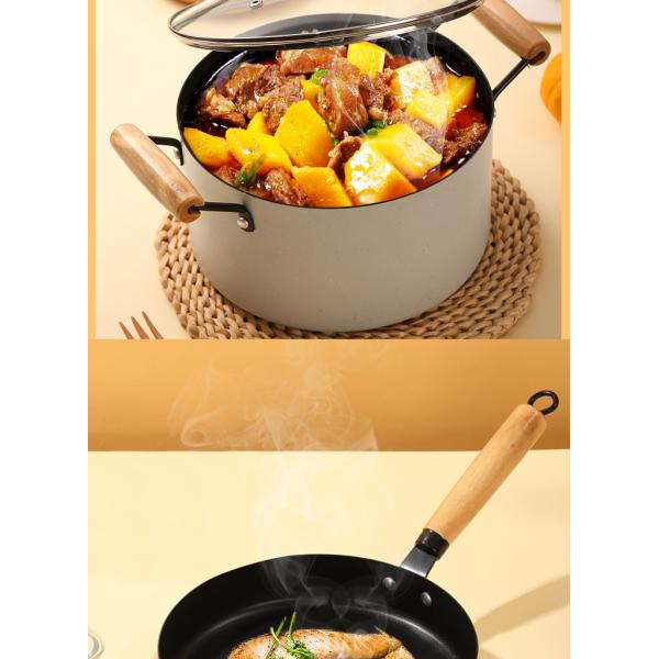 Medical Stone Ollas Cast Iron Cookware Set Non Stick Modern Design Style