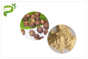 China Powder Form Soapnut Extract Saponins Ingredient 50% / 70% For Shampoo wholesale