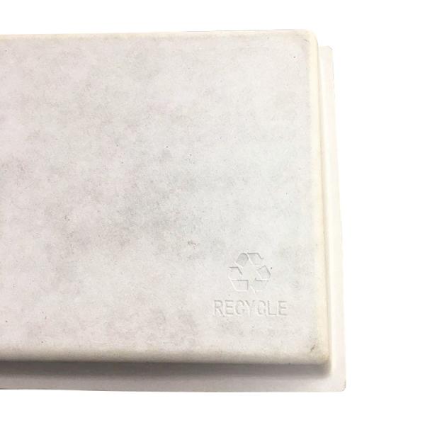 Biodegradable Bagasse Pulp Molded Gift Paper Tray Packaging Color Pulping Paper Tray With Outer Box