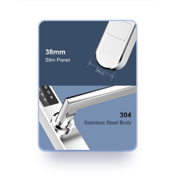 Keypad Bluetooth WiFi Electronic Door Locks Keyless Entry Automatic Password Lock