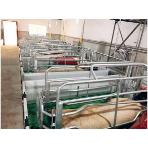 China Pig Farm Equipment Farrowing Cage For Sow Delivery piglets on sale