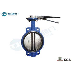 China Lever Operated Wafer Butterfly Valve , Cast Iron Concentric Butterfly Valve wholesale