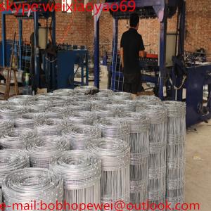 China fence Hog wire mesh cattle fence galvanized hog wire mesh/Feild Fence & Farm Cattel Fence/pig wire mesh fence goat fence wholesale