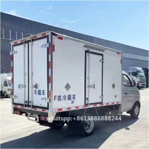 Gasoline Small Refrigerated Truck Mini Freezer Refrigerator Truck