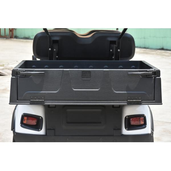 Installed With Plastic Cargo Box Small Electric Golf Carts 6 Seats Without Car Ceiling