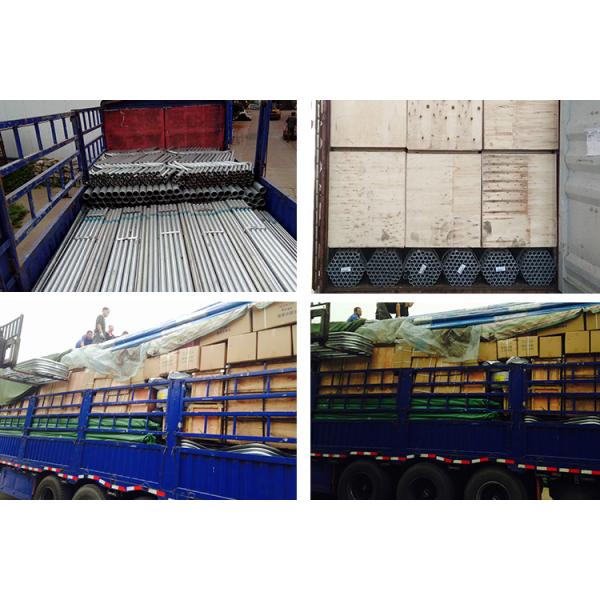 Customized Hot Galvanized Cow Head Lock Farm Feeding Equipment