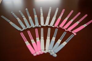 China Surgical Plastic Patient ID Bands / Hospital Identification Bracelets Wristband wholesale