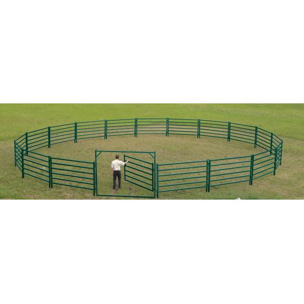 Metal Livestock Corral Fence 5ft X 12ft Corral Pipe Fencing For Horses Cattle